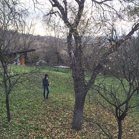Cabana Fagetul Ierii * Fagetu Ierii