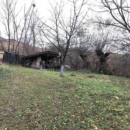 Cabana Fagetul Ierii Fagetu Ierii