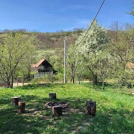Cabana Fagetul Ierii *