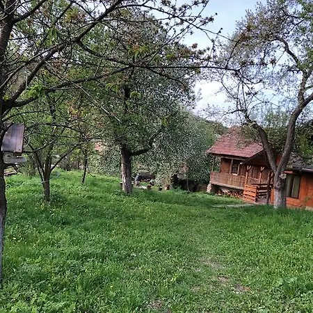 Lodge Cabana Fagetul Ierii Fagetu Ierii
